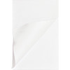 Business Source Plain Memo Pads BSN65901