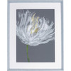 Lorell White Flower Design Framed Abstract Art LLR04478