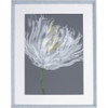 Lorell White Flower Design Framed Abstract Art LLR04478