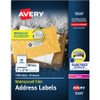 Avery&reg; TrueBlock Weatherproof Mailing Labels AVE95522