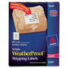 Avery&reg; Weatherproof Mailing Labels AVE5524