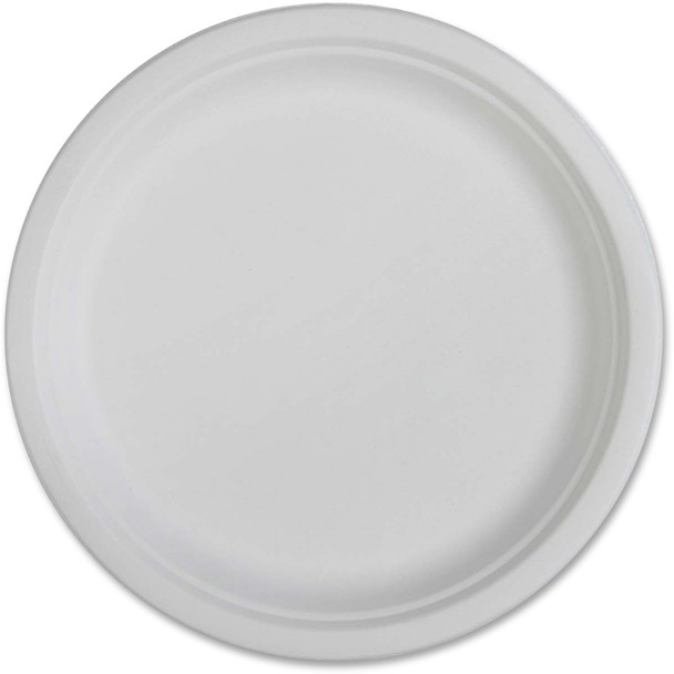 Genuine Joe Plates 10218