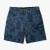 Pinnacle Shorts
