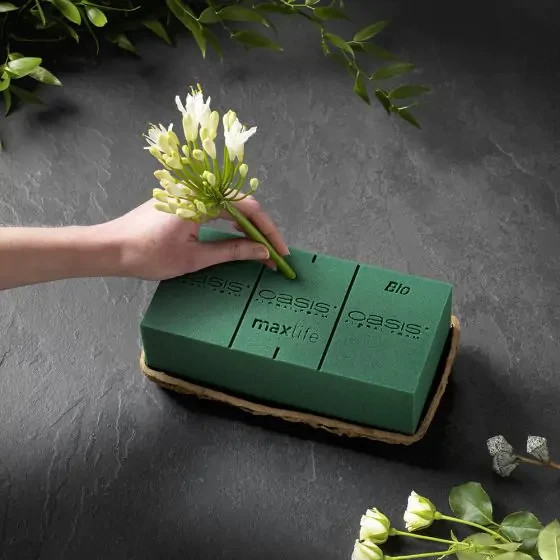 Flowerbox Oasis Biolit – Spugna Per Fiori In Cartone Riciclato – 2 Pezzi Da 53x33x6 Cm – Serbatoio D'Acqua - 5
