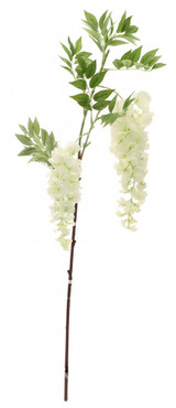 Two Head Wisteria White 90cm Two Head Wisteria White 90cm