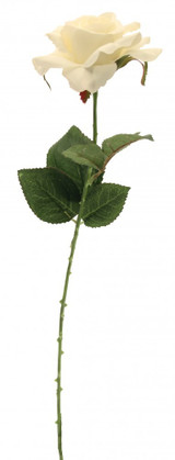 Cream Rose (42cm) Cream Rose (42cm)