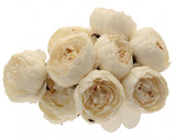 Peony Bunch Cream 40cm