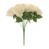 Rose Bush Cream Rose Bush Cream