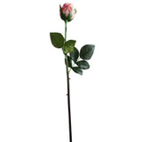 Small Rose Bud Pink Small Rose Bud Pink