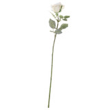 72cm Single Olivia Rose Cream 72cm Single Olivia Rose Cream