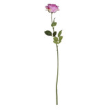Small Camelot Open Rose Lavender Small Camelot Open Rose Lavender