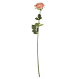 Small Camelot Open Rose Peach Small Camelot Open Rose Peach