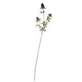 Thistle Spray Purple 