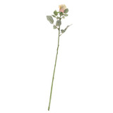 71cm Single Celia Rose Cream Blush 71cm Single Celia Rose Cream Blush