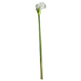 Large Calla Lily Cream & Green Large Calla Lily Cream & Green