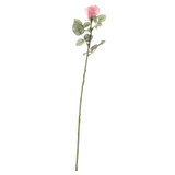 71cm Single Celia Rose Peach 71cm Single Celia Rose Peach