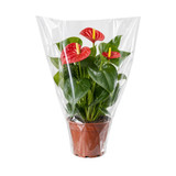 Clear Sleeve 60cm x 30cm