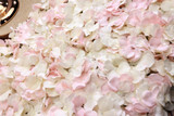Pink and Cream Hydrangea Flower Wall Panel 40 x 60cm