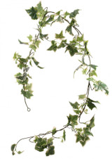 Holland Ivy Garland 6ft Holland Ivy Garland 6ft