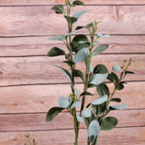 Eucalyptus Spray 81cm Eucalyptus Spray 81cm