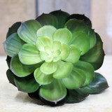 Succulent Pick 15cm Succulent Pick 15cm