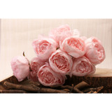 Peony Bunch Pink 40cm Peony Bunch Pink 40cm