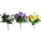 Pansy Bush (Assorted Colours) Pansy Bush (Assorted Colours)