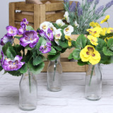 Pansy Bush (Assorted Colours) Pansy Bush (Assorted Colours)