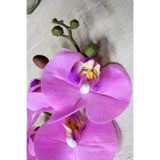 Pink Phalaenopsis Spray 34.5 inch Pink Phalaenopsis Spray 34.5 inch