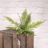 Plastic Boston Fern Bush Plastic Boston Fern Bush