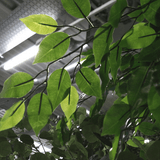 Artificial Green Tree (3.1m) Artificial Green Tree (3.1m)
