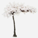 Cream Blossom Tree (3.2m) Cream Blossom Tree (3.2m)