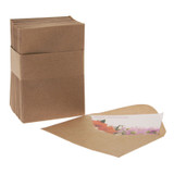 Brown Kraft Envelopes (pack of 100) Brown Kraft Envelopes (pack of 100)