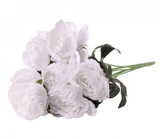 White King Peony Bunch White King Peony Bunch