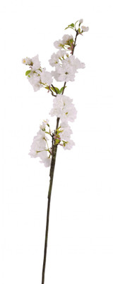 94cm Single Apple Blossom 94cm Single Apple Blossom