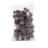 Frosted Pine Cones 1kg Frosted Pine Cones 1kg