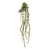 Green Amaranthus 26inch Green Amaranthus 26inch