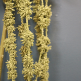 Green Amaranthus 26inch Green Amaranthus 26inch