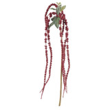 Burgundy Amaranthus 26inch Burgundy Amaranthus 26inch