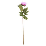 Peony Lavender Peony Lavender