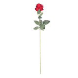 Arundel Rose Burgundy Arundel Rose Burgundy