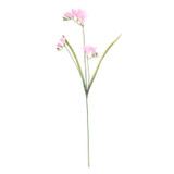 67cm Freesia Spray Pink 67cm Freesia Spray Pink