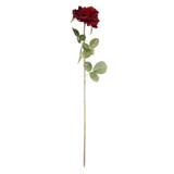 Arundel Open Rose Burgundy Arundel Open Rose Burgundy