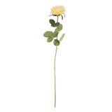 Arundel Open Rose Yellow Arundel Open Rose Yellow