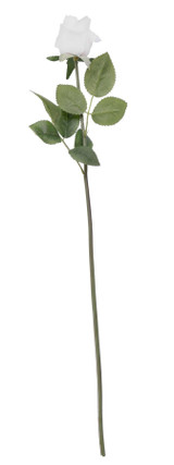 Arundel Rose Bud White Arundel Rose Bud White
