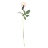 Arundel Rose Ivory Arundel Rose Ivory