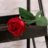 Buckingham Rose Red Buckingham Rose Red