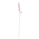 Veronica Spray Pink Veronica Spray Pink