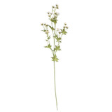 Seventh Heaven White Seventh Heaven White