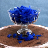 Royal Blue Feathers in Bag (5g)